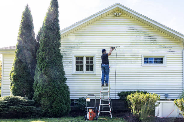 Best Driveway Pressure Washing  in De Pere, WI